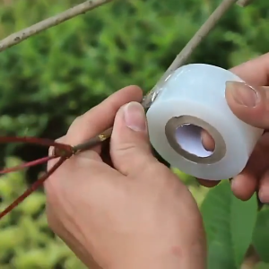 【BHQ&HOME】200m เทปพันกิ่งไม้ เทปพันกิ่งทาบ แลปพลาสติก อุปกรณ์ตอนกิ่ง เทปพันกิ่งเสียบยอด ผ้าเทปพันกิ่ง