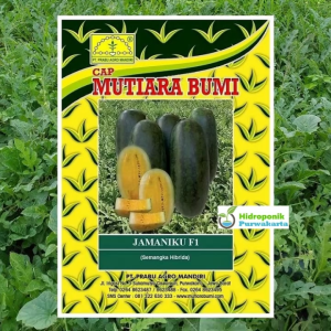 Benih Semangka Daging Kuning JAMANIKU F1 isi 20 Gram Tipe Inul Cap Mutiara Bumi