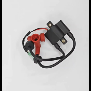 Marine Outboard Coil Assy Koil Pengapian Tempel 6f5-85570-10 Untuk Yamaha F9.9 13.5 15.20 25hp