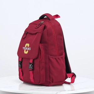 BABYmall กระเป๋าเป้ กระเป๋านักเรียนใหม่ กระเป๋ากันน้ำ กระเป๋าบรรจุของได้เยอะน้ำหนักเบาแต่แข็งแรงและมีสายรัดสำหรับรถเข็น สินค้าพร้อมส่ง