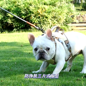 สําหรับสุนัขฮัสกี้โกลเด้นรีทรีฟเวอร์ สายจูงสุนัข สะท้อนแสง ขนาดเล็ก 1.5 เมตร พร้อมด้ามจับหนัง สายจูงสุนัข#A104