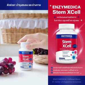 ENZYMEDICA Stem XCell