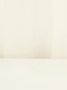 Ant Killer Cockroaches Killer ants Killer Bait 【10pack/Set】灭蚂蚁药