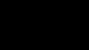 杨掌柜高人拉面非油炸速食拉面 Instant Soup Bowl Ramen 杨掌柜YES宽粉