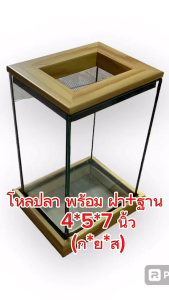 โหลปลากัด ตู้ปลากัด​ โหลปลา ฝาฐานสีลายไม้​ ​ ขนาด​ 4x5x7 นิ้ว กระจกหนา​ 3 mm.