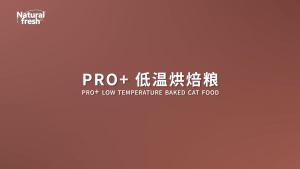 Bright อาหารแมวเม็ด อาหารแมวส่งฟรี อาหารแมวกระสอบ อาหารแห้งสำหรับแมว โปรตีนสูง เนื้อหาเนื้อสูง Cat Dry Food 1.2kg