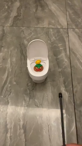 Đồ chơi Bồn cầu điều khiển từ xa mặt thộn mới nhất 2024