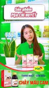 Chỉ huyết PQA dùng cho người bị chảy máu cam đi ngoài ra máu tiểu ra máu ho ra máu xuất huyết dưới DA