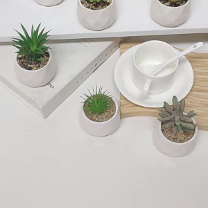Mini Artificial Potted Office Ornaments: Simulation Succulents & Ceramic Stone Paving