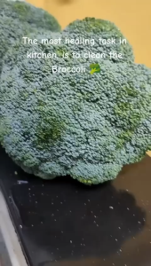 Vegetables Wash & Kitchen Cleaner IMEC 588 SANI GREEN Halal 5L