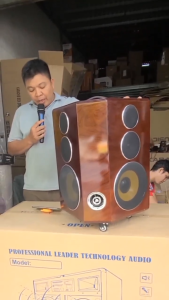 Loa xách tay cao cấp 2 bass 20 chất liệu gỗ Veener 2 micro UHF hỗ trợ chống hú set tần số