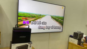 Loa Karaoke Bluetooth Xdobo Truth 200W Kèm 2 Micro Không Dây Hỗ Trợ Livestream Trực Tiếp Trợ Giảng - Chính hãng bảo hành 12 tháng
