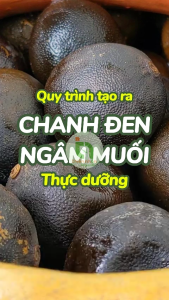Chanh đen ngâm muối VNHerbs hộp 400g Salted Black Lime