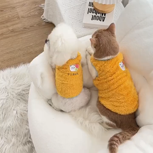 áo lông - áo ấm - áo đông 2026 thêu gấu và chữ cho chó mèo - T3 PETS SHOP