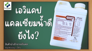 สารเสริมบำรุงกระดูกและเปลือกไข่