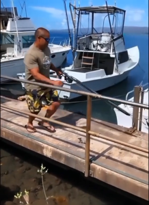 As Baja Bintik Hitam 5mm Panjang 100cm Lurus