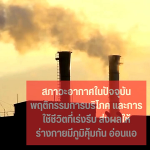 น้ำนันจมูกข้าว นำมันรำข้าว กิฟฟารีน โอรีซา อี Rice bran oil giffarine สารสกัด น้ำมันรำข้าว ORYZA-E GIFFARINE ผสมน้ำมันจมูกข้าวสาลี วิตามินอี