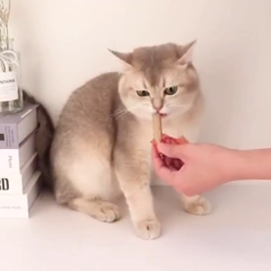 50pcs Sosis Kucing Sosis Anjing Snack Kucing Cemilan Anjing