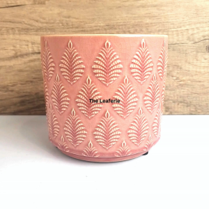 The Leaferie Liana plant pots. flowerpot . flowerpots . flower pot . planter . planters . Ceramic . Plants