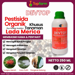 Obat Kuning Daun Merica Lada / Obat Lada Daun Kuning / Obat Daun Kuning Merica / Obat Akar Tanaman Merica Lada Sahang / Obat Buah Anti Rontok Pada Buah Lada Merica / Obat Hama Penyakit Tanaman Lada Merica