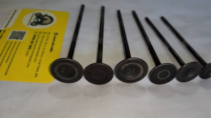 Xupap suppap HONDA HORNET 250 1996-2006 CBR250 MC 17 MC19 MC22 JADE 250 Giá 1 Cái Hàng Nhật Zin