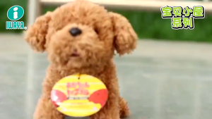 Mainan Anak Electric Anjing Mainan Bahan Plush Dengan Ekor Bergoyang Berjalan & Berbunyi Boneka Anjing Simulasi Anak Anjing Listrik Menganggukkan Kepala Dan Mengibas-ngibaskan Ekor