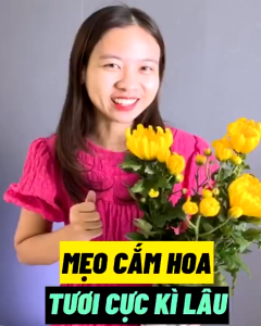 Nước Dưỡng Hoa Cắm Hoa Fresh F5 500ml Chính Hãng - Dưỡng Hoa Tươi Lâu Gấp 3 Lần Giảm Thối Nước Kèm Vòi Xịt