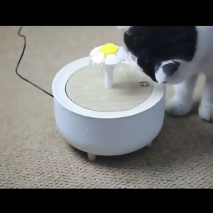 2L Cat Water Fountain Water Dispenser Electric Fountain Pet Feeder Drinker