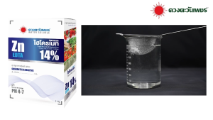 คีเลต 14% ปูนิ่ม ไฮโดรเมท ซิงค์ EDTA (สังกะสี) 14% ชุด 1 กก ปูนิ่ม