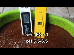 ขุยมะพร้าว มี 3 ชุด ก้อนเป็นก้อนละ 200 กรัม อ่านรายละเอียด หรือสอบถามทางแชตก่อนสั่งซื้อ