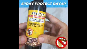 PROTECT Spray Anti Rayap: Solusi Eksklusif Untuk Membasmi Rayap