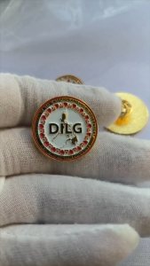 High Quality 1 Inch Badge Metal 3D DILG Pin