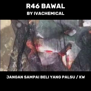 Essen Ikan Bawal Babon & Galatama Ikan Bawal