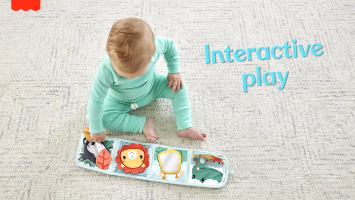 Mainan Edukasi Fisher Price Play And Learn FISHER PRICE Fold