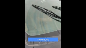 01 gói viên nước rửa kính xe hơi ô tô cao cấp HSR