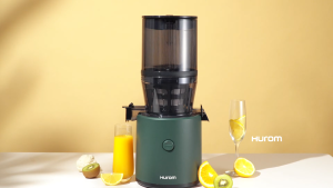 Hurom HH-320N Classic Series Whole Fruit Slow Juicer (Fine Juice)