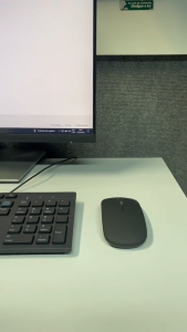 Popcorn Wireless Mouse Bluetooth and 2.4Ghz USB Receiver Optical Slim Adjustable Mice Rechargeable