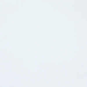 More Glory Hearing Aid Amplifier VHP1204: A Comprehensive Guide