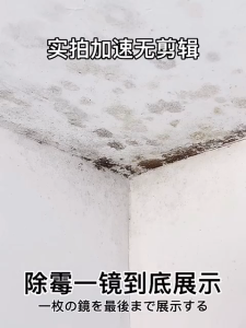 Wall Mold Remover Spray Stain Remover Tile Cleaner Antibacterial Mildew Removal Bathroom Cleaner Household Kitchen 除霉 除黴劑 Toilet Bowl 500ML