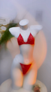 ชุดชั้นในเซ็กซี่ ผ้าซีทรูปักลายดอกไม้ มี5สี