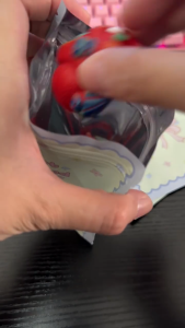 FR-C1151 Plastik Ziplock Cute Bear Tempat Penyimpanan Aksesoris Serbaguna / Plastik Souvenir Klip