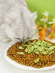 MASTI cat mint biscuit 200g for cat food snack and treat kucing makanan 猫饼干