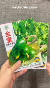 Hạt giống Dưa leo Ngọc Nữ Kim Đồng (Dưa chuột mini) - Gói 8-10 hạt - Nội địa Trung
