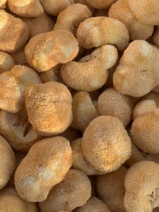 Loherbs 特级猴头菇 Lions Mane Mushroom 【素食名菜 斋菜】 Hericium Erinsceus Mushroom