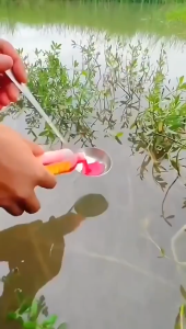 CAIRAN ESEN CACING MERAH - ESSEN UMPAN MANCING PANCING IKAN LELE DAN IKAN GURAME