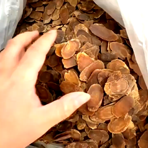 Chinese Herbs Herbal Medicine 红参 Dry Good Red Ginseng Tonic Replenish Vitality 中药材 干货 补气血 养精蓄锐 YC10