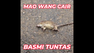 Racun Tikus Mao Wang Cair MERAH Obat Tikus Maowang