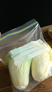 Zipper Lock Plastik 3 Size Kantong Penyimpanan Makanan Zipper Bag Serbaguna Terbaru -ZK-5