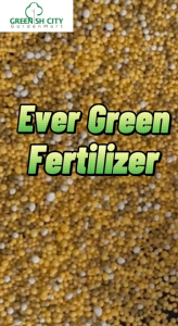 GNC - 1KG LeafAlive Green Plant Slow Release Fertilizer OEM Baja Perlepasan Perlahan Pokok Hijau 控释肥