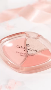 G67 ไฮไลท์ บลัช พาเลทท์ จีน่า เกลม Gina Glam Highlight Blush Palette